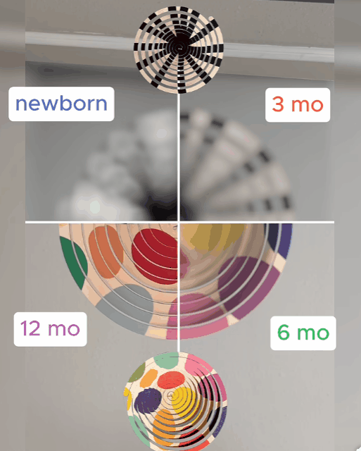Newborn vision